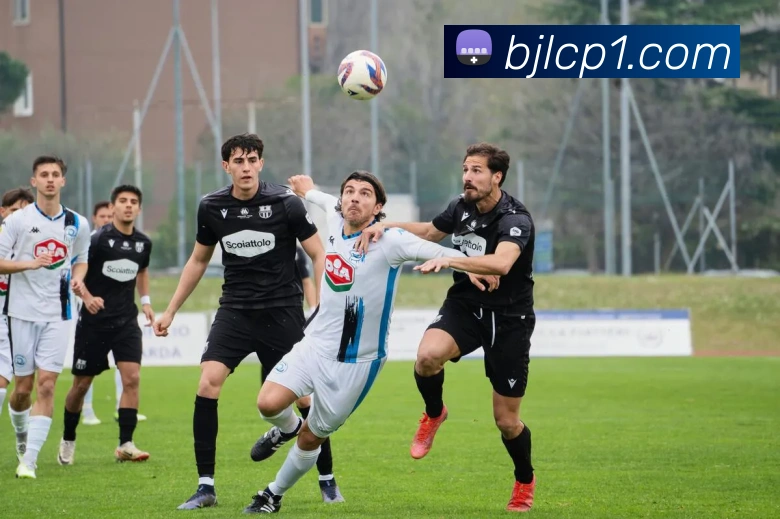 登录器